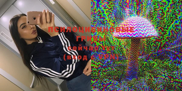 ГАЛЛЮЦИНОГЕННЫЕ ГРИБЫ Аркадак