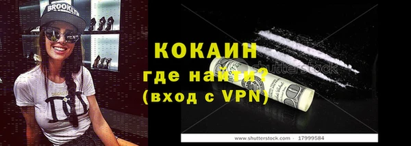 ГАЛЛЮЦИНОГЕННЫЕ ГРИБЫ Аркадак