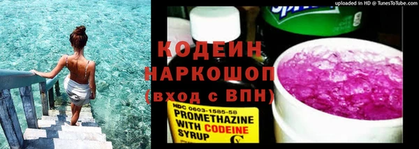 ГАЛЛЮЦИНОГЕННЫЕ ГРИБЫ Аркадак