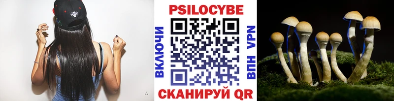 Галлюциногенные грибы Psilocybine cubensis  купить наркотики цена  Сосновоборск 