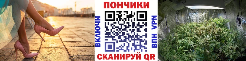 Шишки марихуана VHQ  купить наркотики цена  Сосновоборск 